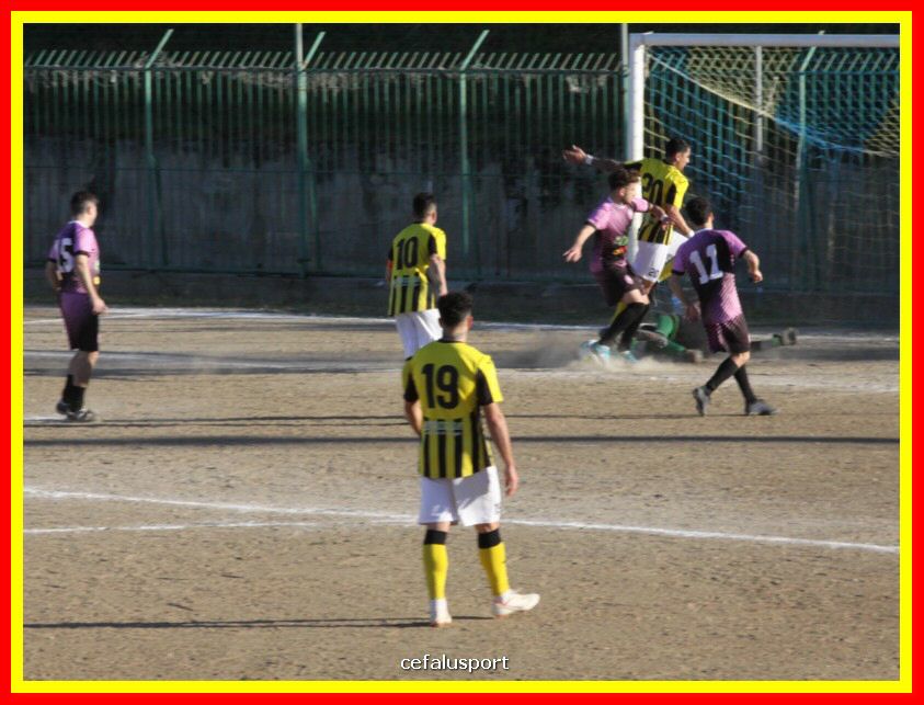 190310 Cephal_Torrenov 180_tn.jpg